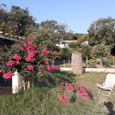 Holiday home Le Agavi 2 Santa Teresa Gallura